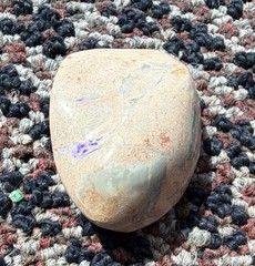 Polished Opalized Clam Shell, Australian!! 127 Carats!