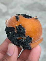 Orange 🍊 Thomsonite ball Natural Mineral specimen # zeolite
