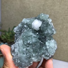 141g NATURAL Green Cubic FLUORITE paragenesis Crystal Cluster Specimen A4783