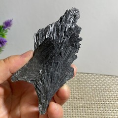 61g Black Kyanite Blades Fans Premium Quality Mineral Specimen rough